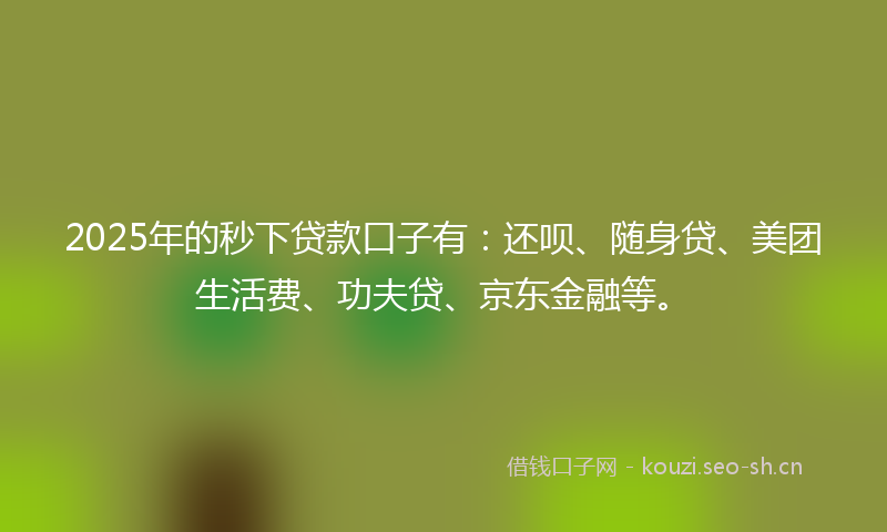 2025年的秒下贷款口子有：还呗、随身贷、美团生活费、功夫贷、京东金融等。
