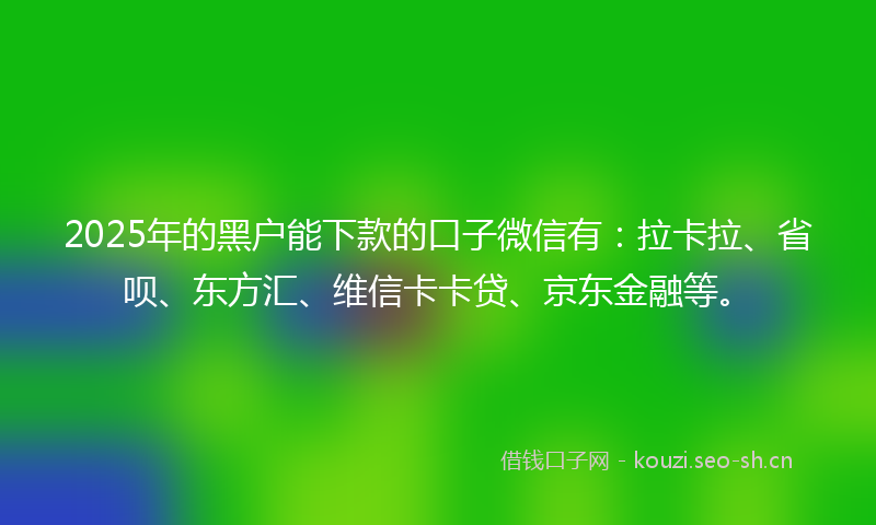2025年的黑户能下款的口子微信有：拉卡拉、省呗、东方汇、维信卡卡贷、京东金融等。