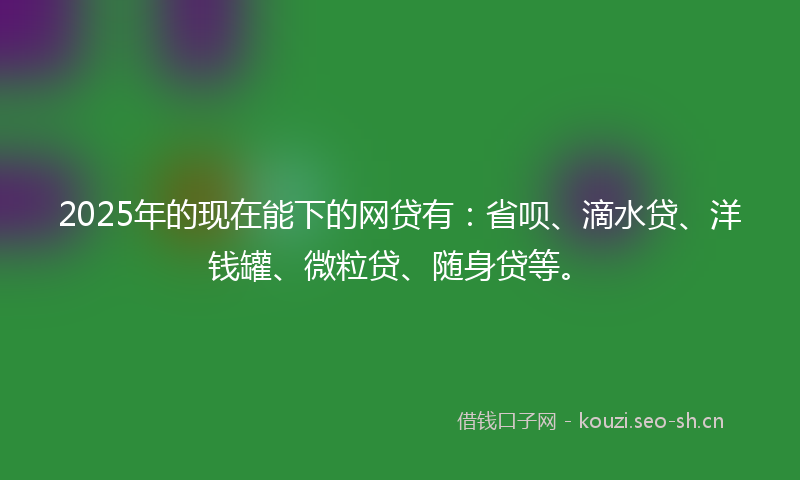 2025年的现在能下的网贷有：省呗、滴水贷、洋钱罐、微粒贷、随身贷等。