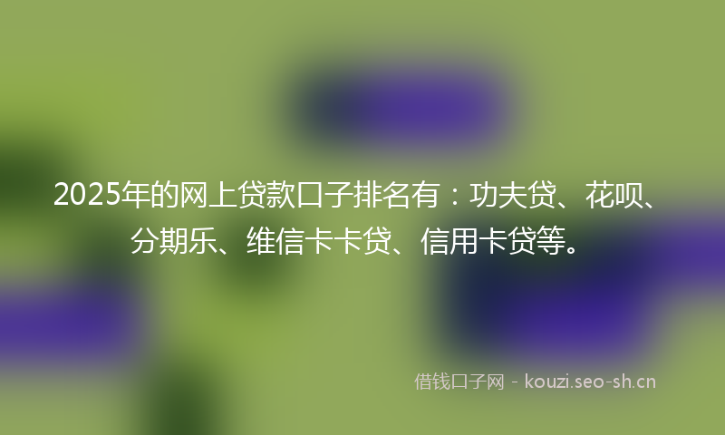 2025年的网上贷款口子排名有：功夫贷、花呗、分期乐、维信卡卡贷、信用卡贷等。