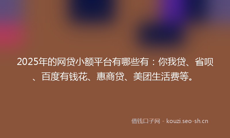 2025年的网贷小额平台有哪些有：你我贷、省呗、百度有钱花、惠商贷、美团生活费等。