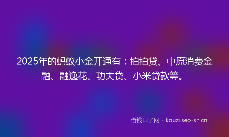 2025年的蚂蚁小金开通有：拍拍贷、中原消费金融、融逸花、功夫贷、小米贷款等。