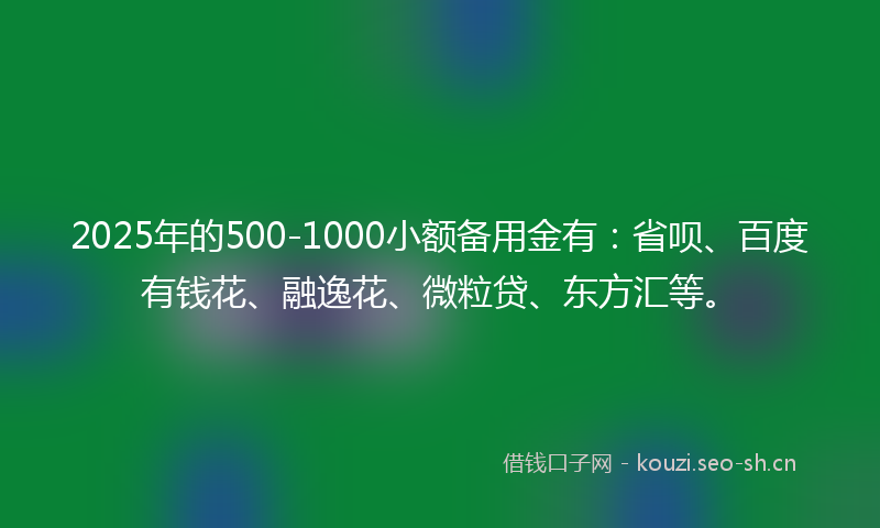 2025年的500-1000小额备用金有：省呗、百度有钱花、融逸花、微粒贷、东方汇等。