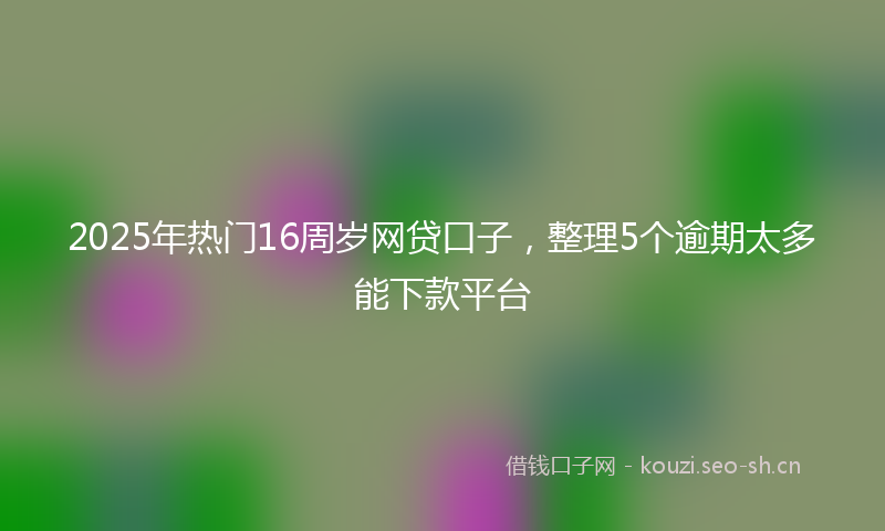 2025年热门16周岁网贷口子，整理5个逾期太多能下款平台