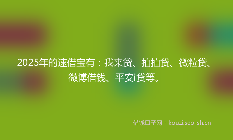 2025年的速借宝有：我来贷、拍拍贷、微粒贷、微博借钱、平安i贷等。