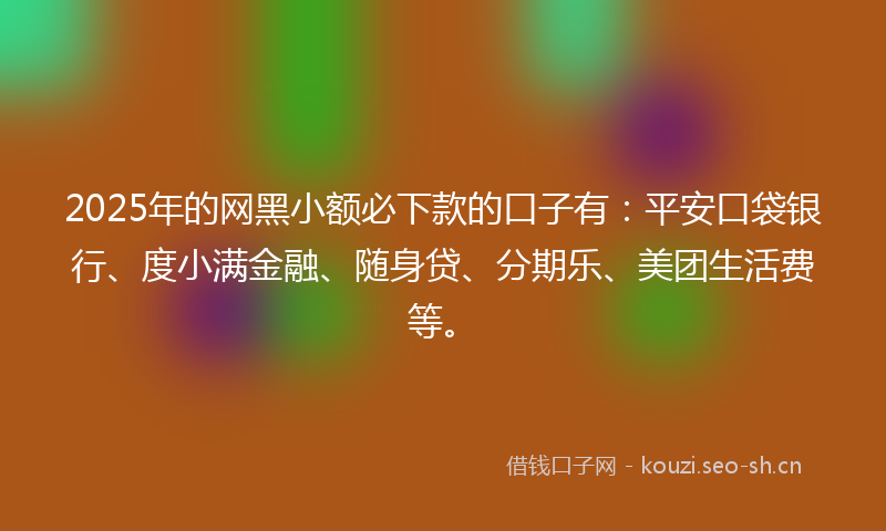 2025年的网黑小额必下款的口子有：平安口袋银行、度小满金融、随身贷、分期乐、美团生活费等。