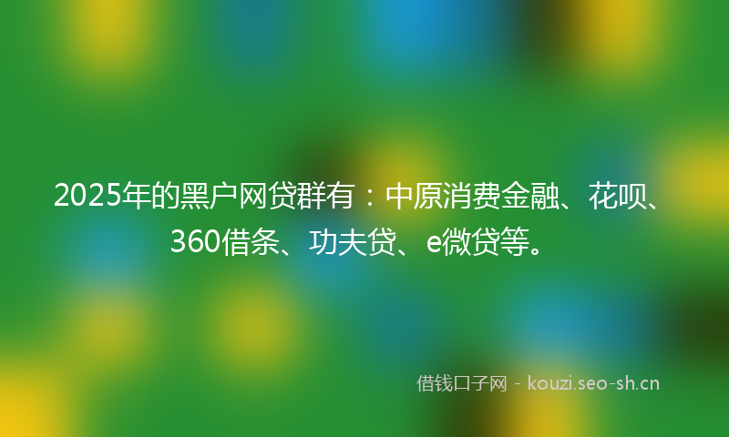 2025年的黑户网贷群有：中原消费金融、花呗、360借条、功夫贷、e微贷等。
