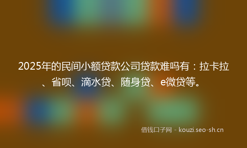 2025年的民间小额贷款公司贷款难吗有：拉卡拉、省呗、滴水贷、随身贷、e微贷等。