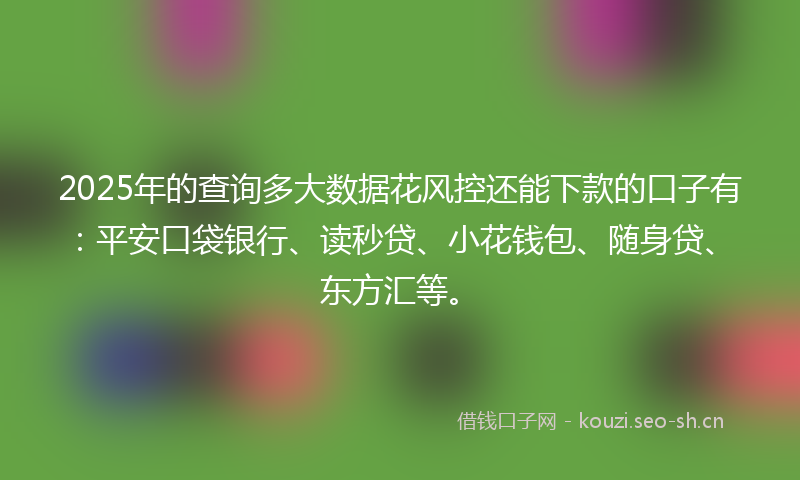 2025年的查询多大数据花风控还能下款的口子有：平安口袋银行、读秒贷、小花钱包、随身贷、东方汇等。