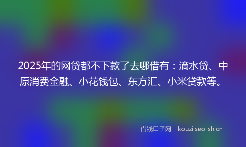 2025年的网贷都不下款了去哪借有：滴水贷、中原消费金融、小花钱包、东方汇、小米贷款等。