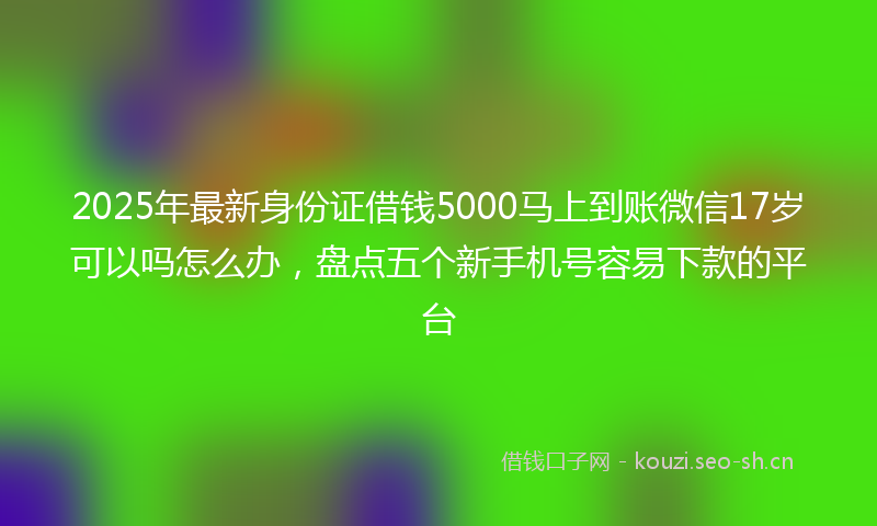 2025年最新身份证借钱5000马上到账微信17岁可以吗怎么办，盘点五个新手机号容易下款的平台