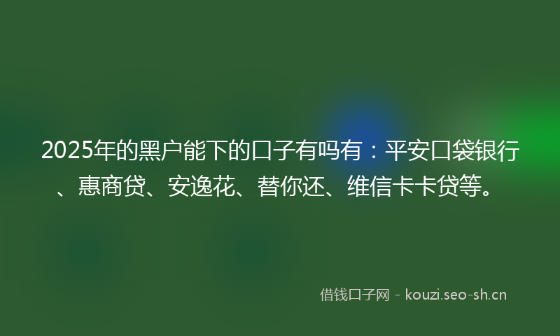 2025年的黑户能下的口子有吗有：平安口袋银行、惠商贷、安逸花、替你还、维信卡卡贷等。