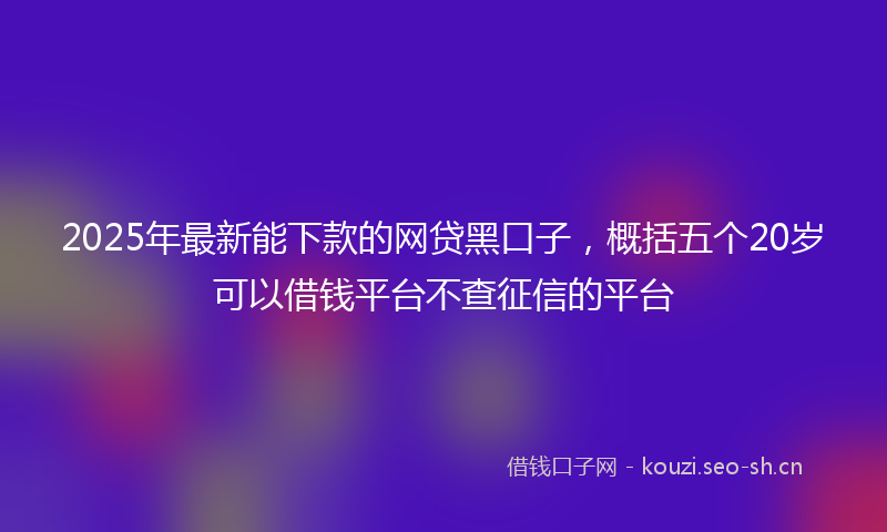 2025年最新能下款的网贷黑口子，概括五个20岁可以借钱平台不查征信的平台