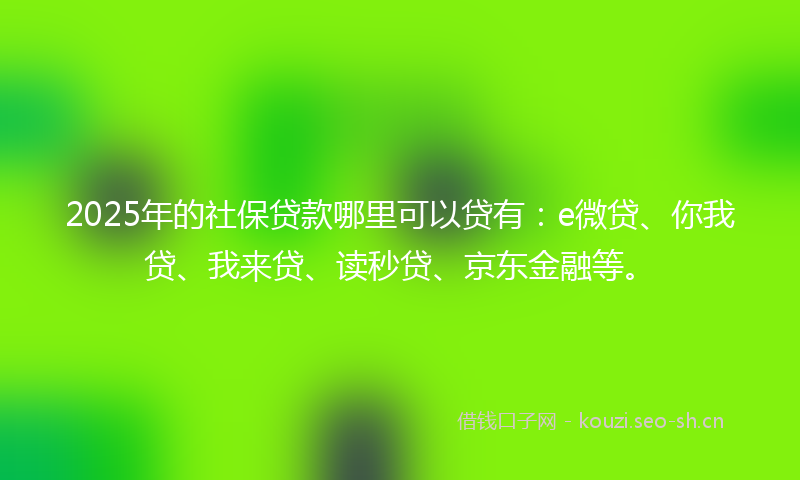 2025年的社保贷款哪里可以贷有：e微贷、你我贷、我来贷、读秒贷、京东金融等。