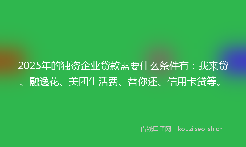 2025年的独资企业贷款需要什么条件有：我来贷、融逸花、美团生活费、替你还、信用卡贷等。