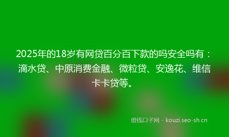 2025年的18岁有网贷百分百下款的吗安全吗有：滴水贷、中原消费金融、微粒贷、安逸花、维信卡卡贷等。