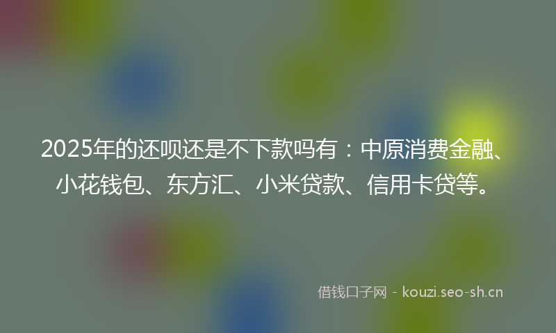 2025年的还呗还是不下款吗有：中原消费金融、小花钱包、东方汇、小米贷款、信用卡贷等。
