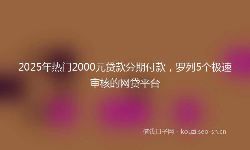 2025年热门2000元贷款分期付款，罗列5个极速审核的网贷平台