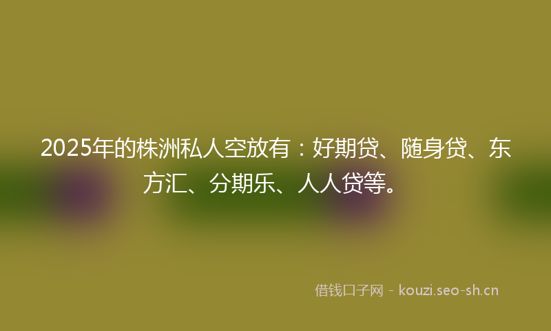 2025年的株洲私人空放有：好期贷、随身贷、东方汇、分期乐、人人贷等。