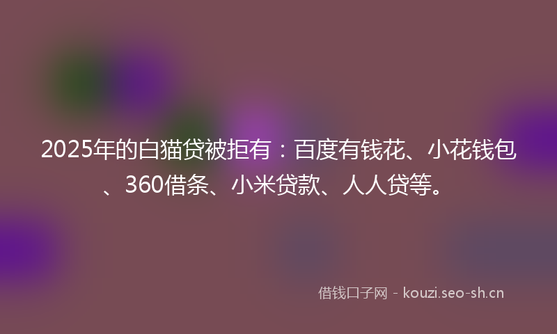 2025年的白猫贷被拒有:百度有钱花、小花钱包、360借条、小米贷款、人人贷等。