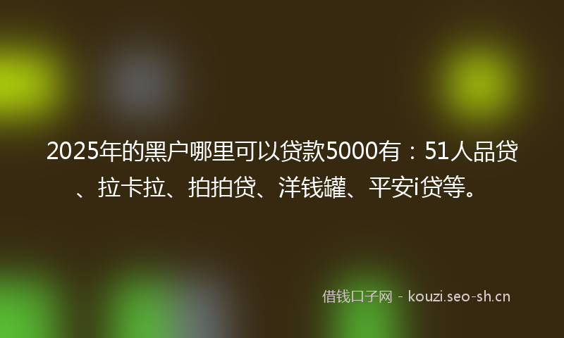 2025年的黑户哪里可以贷款5000有：51人品贷、拉卡拉、拍拍贷、洋钱罐、平安i贷等。