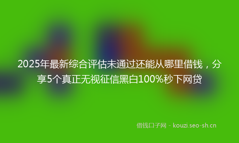 2025年最新综合评估未通过还能从哪里借钱，分享5个真正无视征信黑白100%秒下网贷