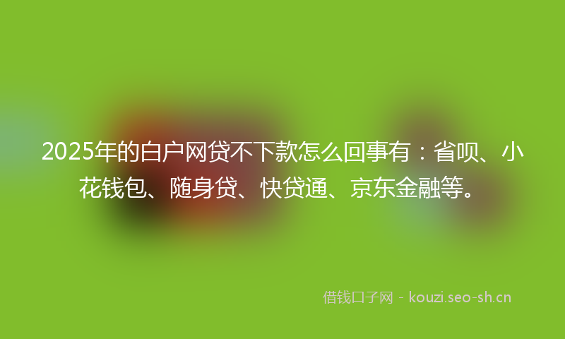2025年的白户网贷不下款怎么回事有：省呗、小花钱包、随身贷、快贷通、京东金融等。