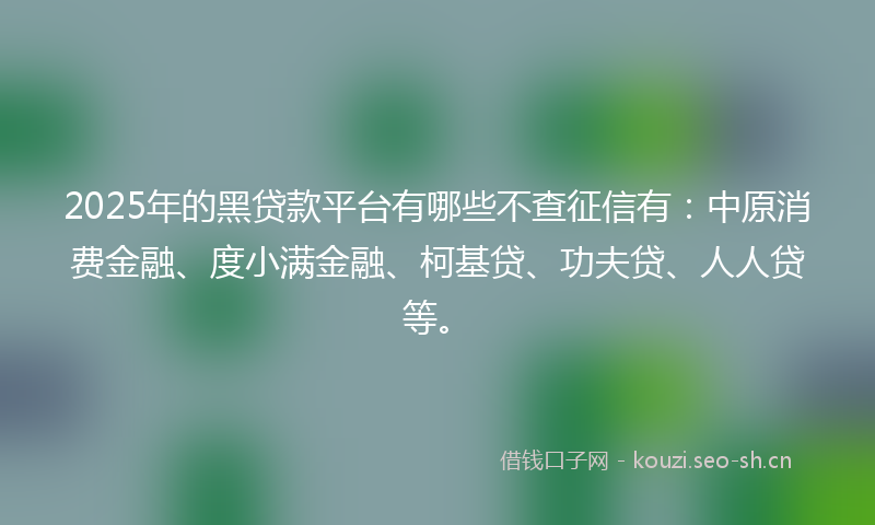 2025年的黑贷款平台有哪些不查征信有：中原消费金融、度小满金融、柯基贷、功夫贷、人人贷等。