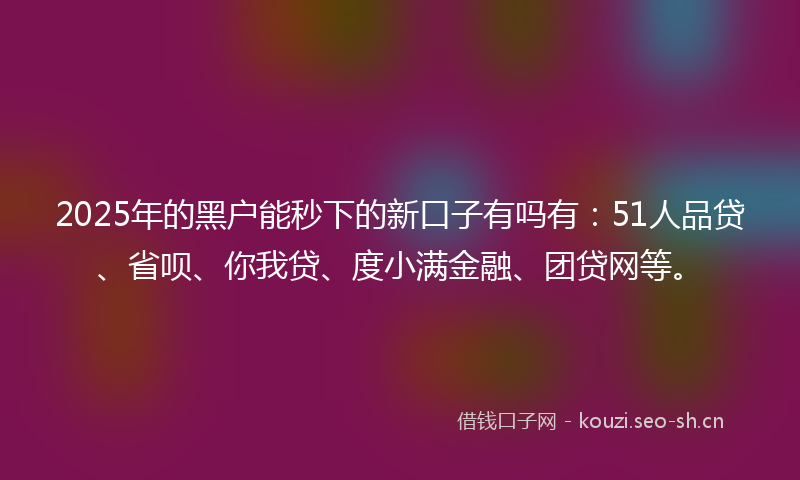 2025年的黑户能秒下的新口子有吗有：51人品贷、省呗、你我贷、度小满金融、团贷网等。