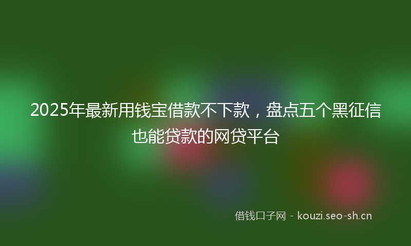 2025年最新用钱宝借款不下款，盘点五个黑征信也能贷款的网贷平台