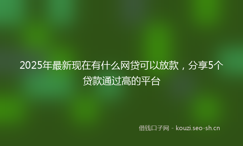 2025年最新现在有什么网贷可以放款，分享5个贷款通过高的平台