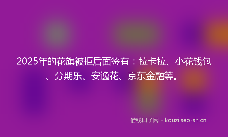2025年的花旗被拒后面签有：拉卡拉、小花钱包、分期乐、安逸花、京东金融等。