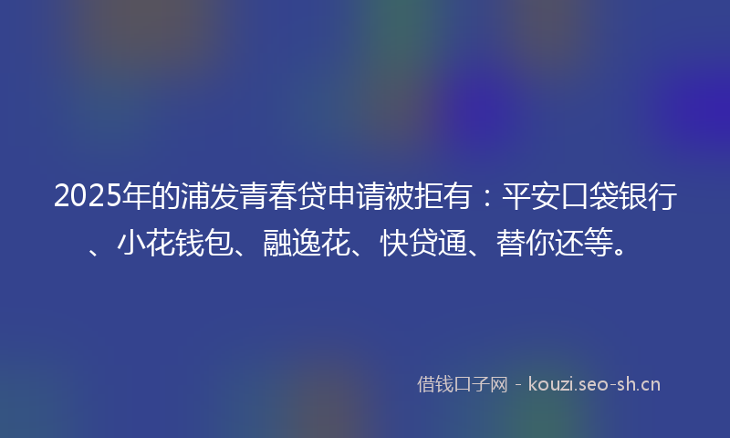 2025年的浦发青春贷申请被拒有：平安口袋银行、小花钱包、融逸花、快贷通、替你还等。