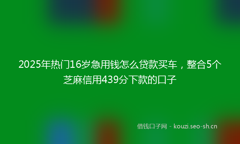 2025年热门16岁急用钱怎么贷款买车，整合5个芝麻信用439分下款的口子