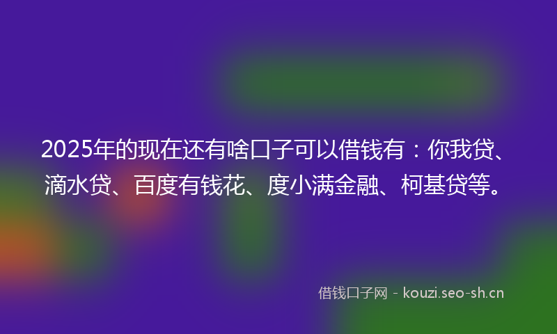 2025年的现在还有啥口子可以借钱有：你我贷、滴水贷、百度有钱花、度小满金融、柯基贷等。