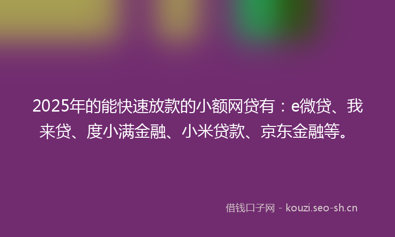 2025年的能快速放款的小额网贷有：e微贷、我来贷、度小满金融、小米贷款、京东金融等。