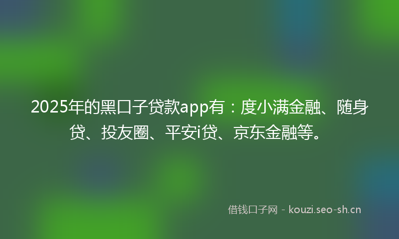 2025年的黑口子贷款app有：度小满金融、随身贷、投友圈、平安i贷、京东金融等。