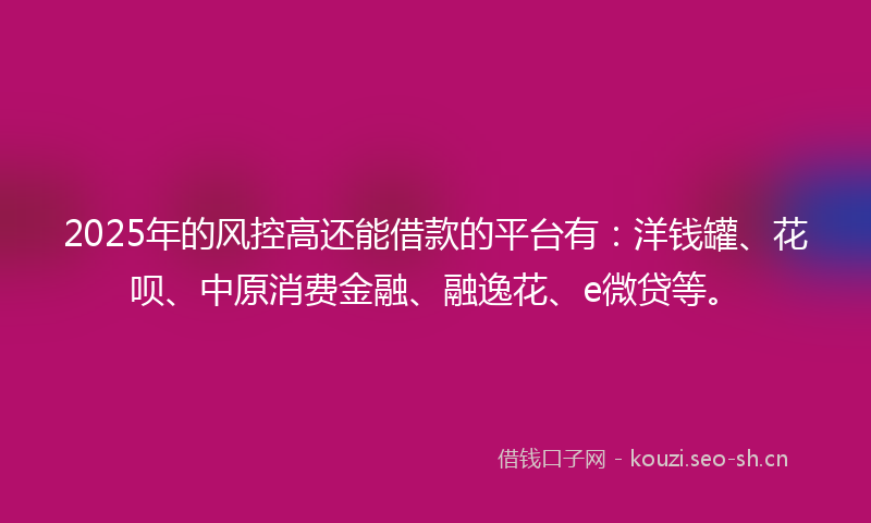 2025年的风控高还能借款的平台有：洋钱罐、花呗、中原消费金融、融逸花、e微贷等。