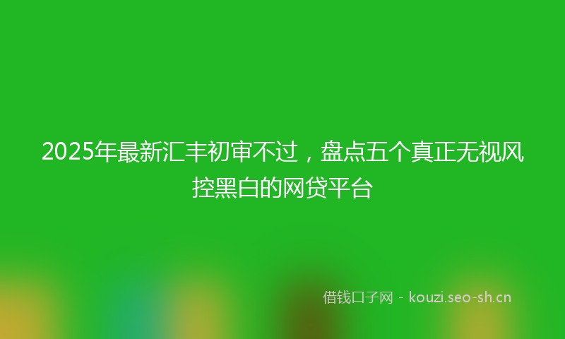 2025年最新汇丰初审不过，盘点五个真正无视风控黑白的网贷平台