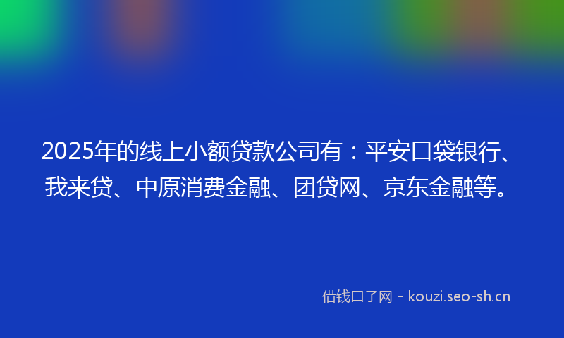 2025年的线上小额贷款公司有：平安口袋银行、我来贷、中原消费金融、团贷网、京东金融等。