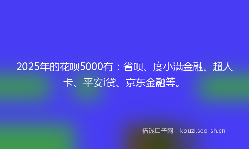2025年的花呗5000有：省呗、度小满金融、超人卡、平安i贷、京东金融等。