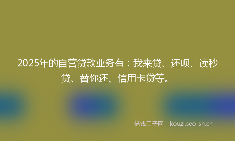 2025年的自营贷款业务有：我来贷、还呗、读秒贷、替你还、信用卡贷等。