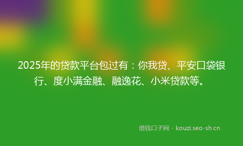 2025年的贷款平台包过有：你我贷、平安口袋银行、度小满金融、融逸花、小米贷款等。