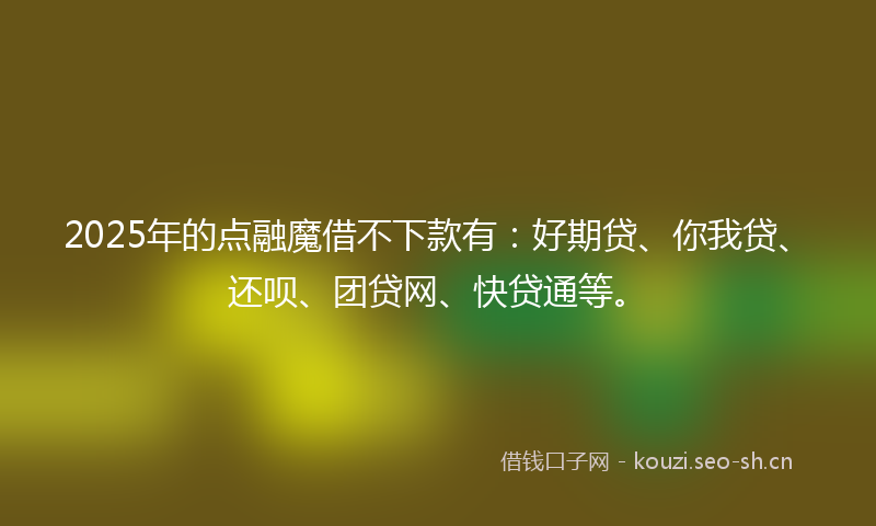 2025年的点融魔借不下款有：好期贷、你我贷、还呗、团贷网、快贷通等。