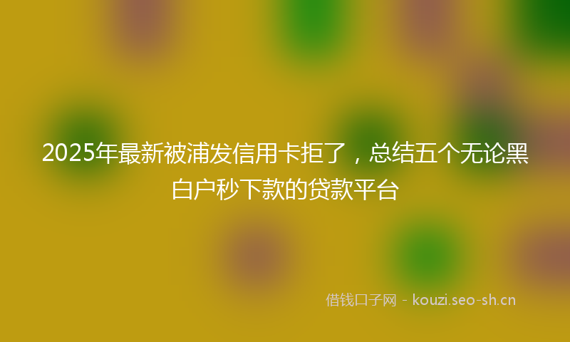 2025年最新被浦发信用卡拒了，总结五个无论黑白户秒下款的贷款平台