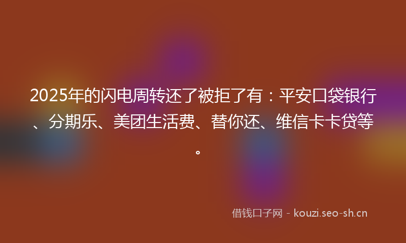 2025年的闪电周转还了被拒了有：平安口袋银行、分期乐、美团生活费、替你还、维信卡卡贷等。