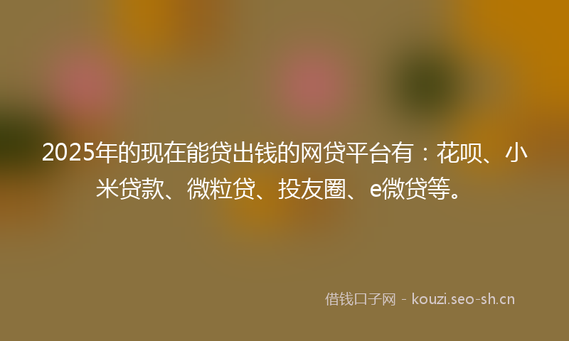 2025年的现在能贷出钱的网贷平台有：花呗、小米贷款、微粒贷、投友圈、e微贷等。