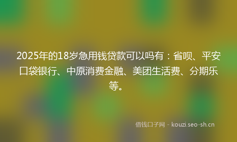 2025年的18岁急用钱贷款可以吗有：省呗、平安口袋银行、中原消费金融、美团生活费、分期乐等。