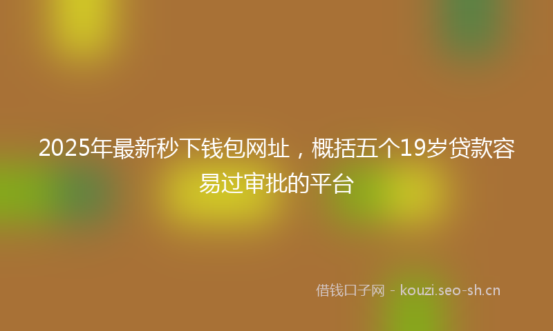 2025年最新秒下钱包网址，概括五个19岁贷款容易过审批的平台