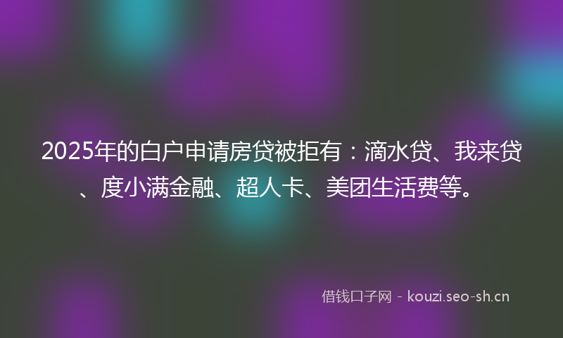 2025年的白户申请房贷被拒有：滴水贷、我来贷、度小满金融、超人卡、美团生活费等。